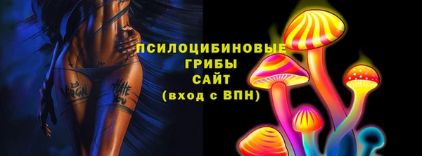 хмурый Алзамай