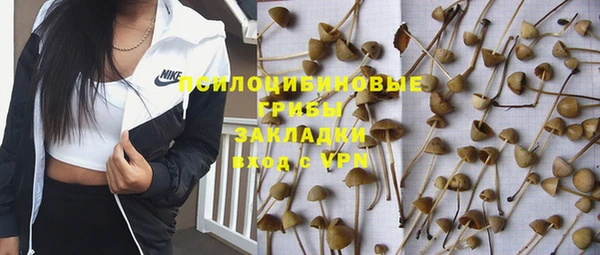 хмурый Алзамай