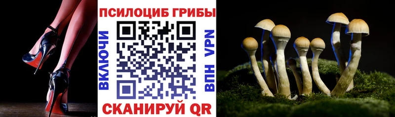 Галлюциногенные грибы Psilocybe  Долинск 
